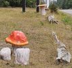 PICTURES/Art  101 - Bandon/t_Mushrooms2.jpg